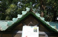 <div id=myiframe><iframe src=http://www.facebook.com/plugins/like.php?href=http%3A%2F%2Fsajha%2Ecom%2Fsajha%2Fhtml%2Findex%2Ecfm%3Frecommendations%3D1%26id%3D190%26photofile%3DIMG%5F20161017%5F125321%5F01%2Ejpg&layout=standard&show_faces=false&share=true&width=450&action=like&colorscheme=dark&height=15 scrolling=no frameborder=0 allowTransparency=true></iframe></div>